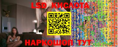 шишки Новодвинск
