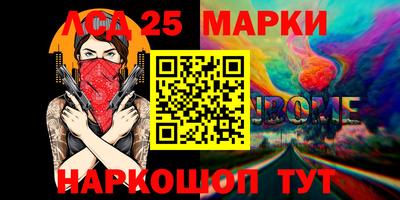 шишки Новодвинск
