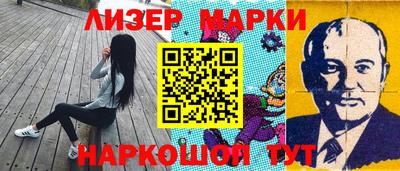 шишки Новодвинск