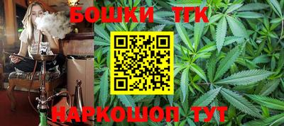 шишки Новодвинск