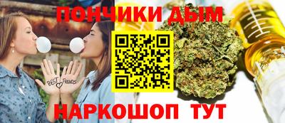 шишки Новодвинск