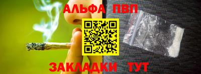 шишки Новодвинск