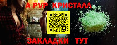шишки Новодвинск
