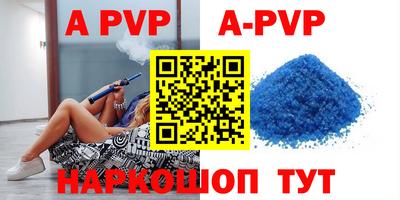 шишки Новодвинск