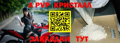 шишки Новодвинск