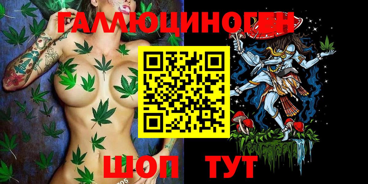 Улан-Удэ  Псилоцибиновые грибы Cubensis  Галлюциногенные грибы GOLDEN TEACHER  Вход с VPN 